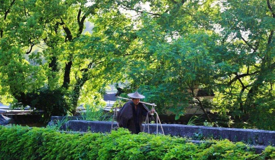 “小站点”撬动“大民生”——西安碑林区聚力公共就业服务绘就幸福生活底色