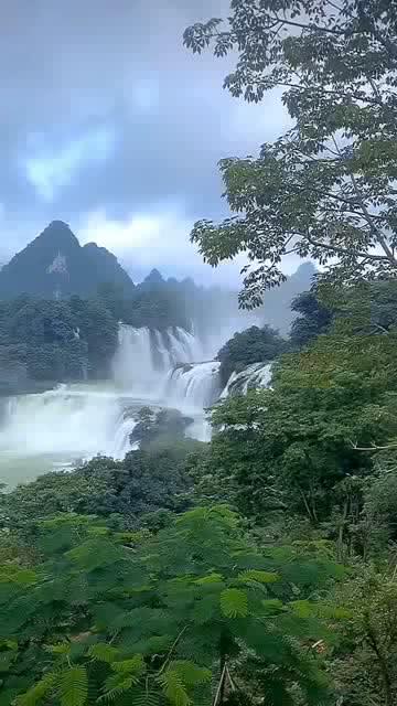 越过篱笆